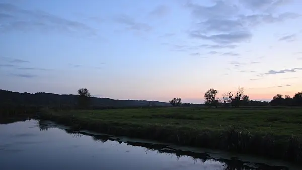 501035 - Back water of Oder River, Lower Oder Valley National Park, Germany
