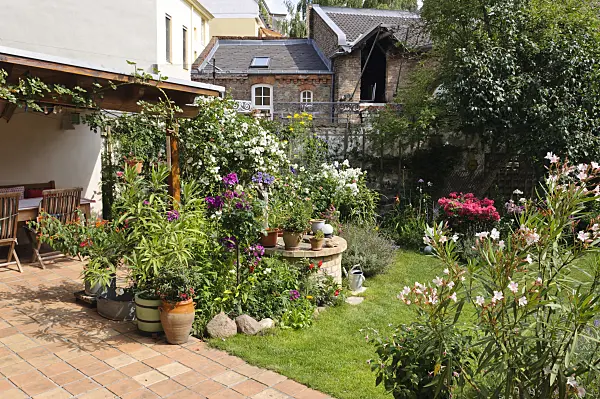 474351 - Backyard garden with perennial beds, lawn and terrace with potted plants