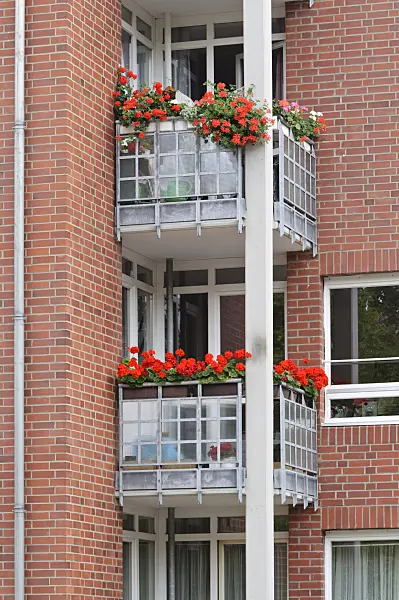 475025 - Balconies with geraniums