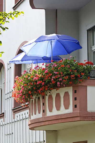 475014 - Balcony with geraniums