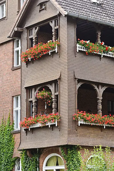 475029 - Balcony with geraniums