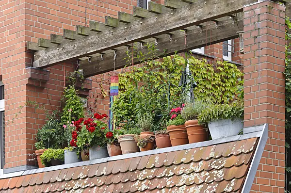 475027 - Balcony with potted plants