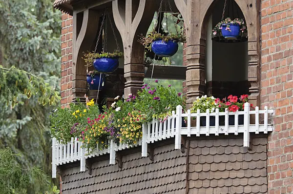 475022 - Balcony with summer flowers