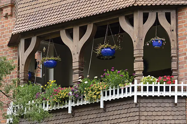 475023 - Balcony with summer flowers