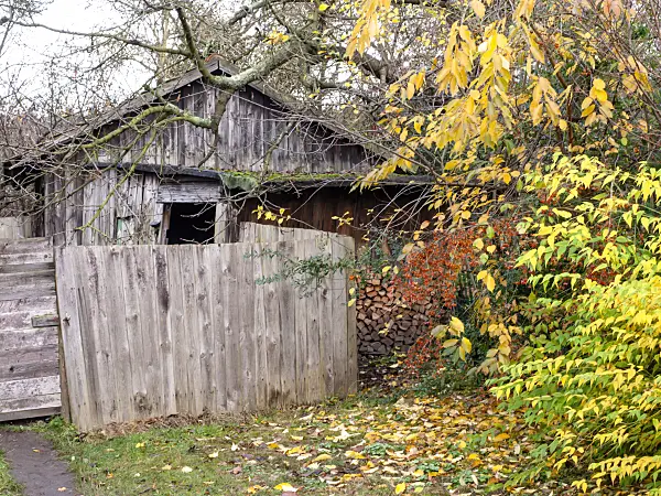 478078 - Barn in an autumnal garden