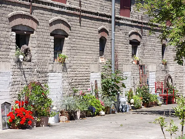 474429 - Barn with potted plants