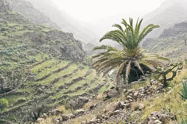 362032 - Barranco de Argaga, La Gomera, Spanien