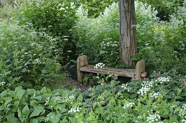 472324 - Basic bench in a perennial garden