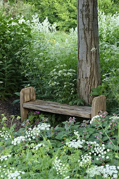 472325 - Basic bench in a perennial garden