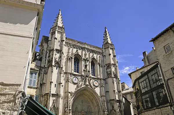 557214 - Basilique Saint-Pierre, Avignon, Provence, France