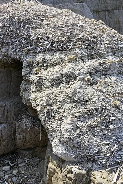 569100 - Bay with rocks, Île Sainte-Marguerite, France