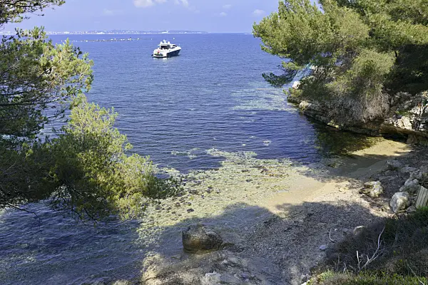569103 - Bay with rocks, Île Sainte-Marguerite, France