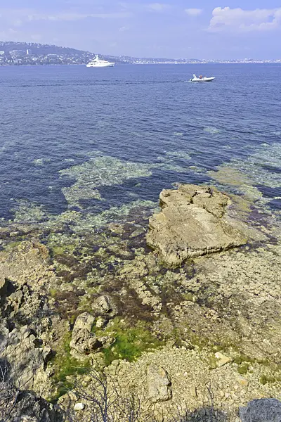 569105 - Bay with rocks, Île Sainte-Marguerite, France