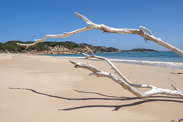 455241 - Beach at Port Phillip Bay, Point Nepean National Park, Australia