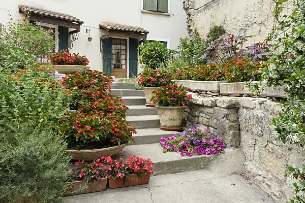 557120 - Begonias (Begonia) in flower boxes and flower pots, Arles, France