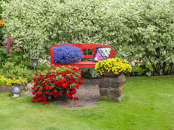 523256 - Bégonias (Begonia), lobélies (Lobelia) et Calibrachoa avec un banc de jardin rouge