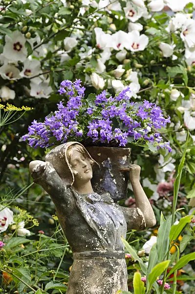 474370 - Bellflower (Campanula) with female figure