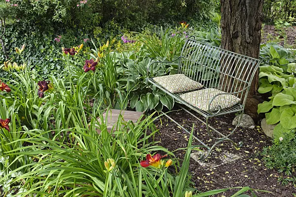 474107 - Bench in a perennial garden