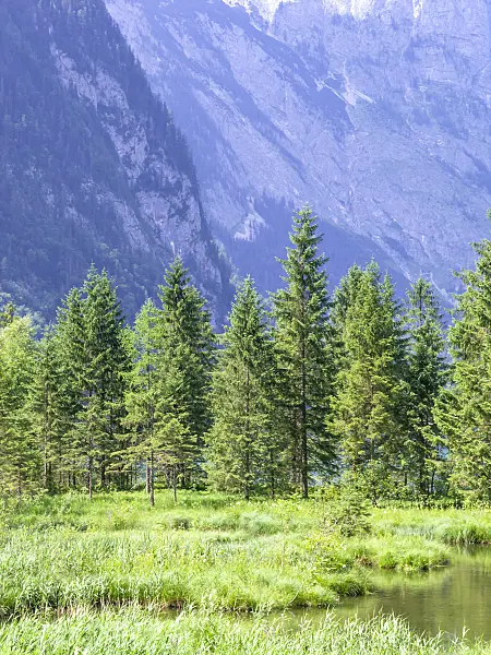 439151 - Berchtesgaden National Park, Germany