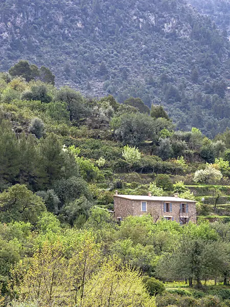 424079 - Bewachsene Bergabhänge mit Steinhaus und bläulich diesigem Hintergrund, Sóller, Mallorca, Spanien