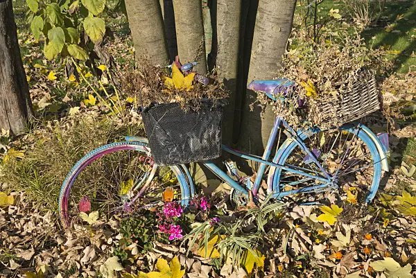 607243 - Bicycle in an autumnal garden
