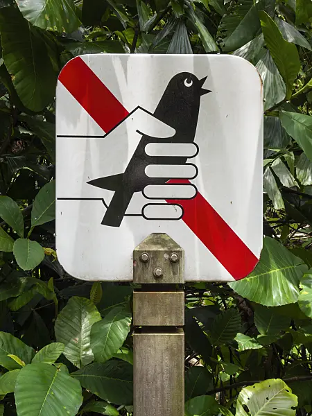 411071 - Bird catching forbidden, Kent Ridge Park, Singapore