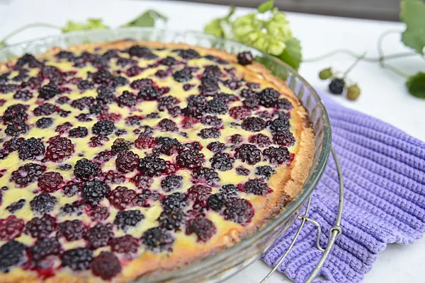 545059 - Blackberry tart