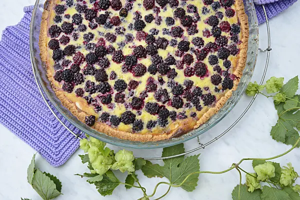 545060 - Blackberry tart