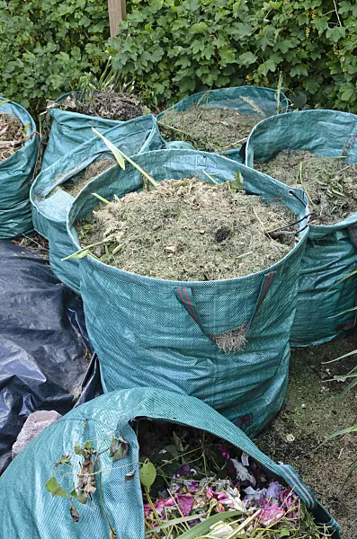 534041 - Blue bags with garden waste