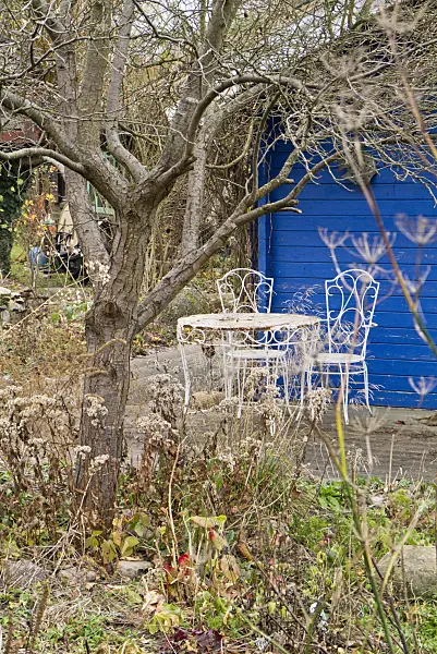 539001 - Blue garden house in a wintery allotment garden
