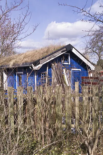 601014 - Blue garden house in a wintery allotment garden