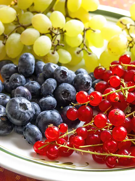 440260 - Blueberry (Vaccinium corymbosum), red currant (Ribes rubrum) and grape vine (Vitis vinifera)