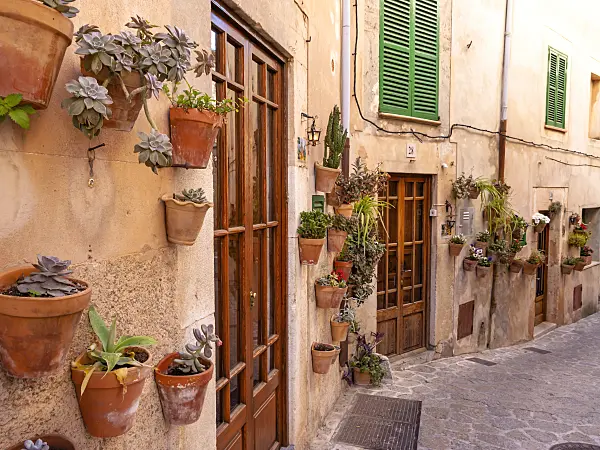 424048 - Blumentöpfe an einer Hauswand, Valldemossa, Mallorca, Spanien