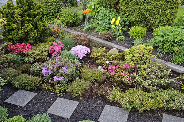 484136 - Bog garden with rhododendrons (Rhododendron)