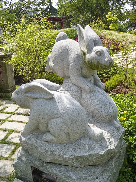 411206 - Bonsai Garden, Singapore