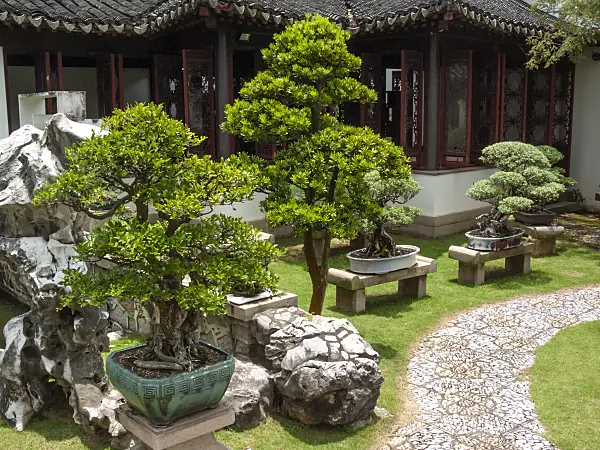 411224 - Bonsais in planters on stone platforms in front of a garden house, Bonsai Garden, Singapore