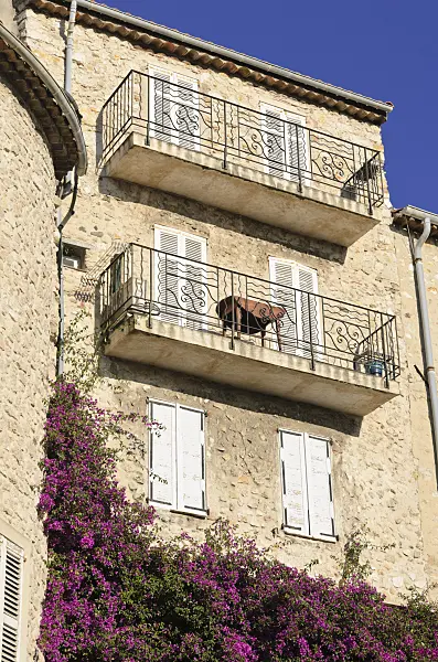 569042 - Bougainvillea at an old town house, Antibes, France