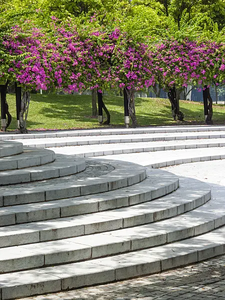 411050 - Bougainvillea behind stone stairs, Sundial Plaza, Marina City Park, Singapore