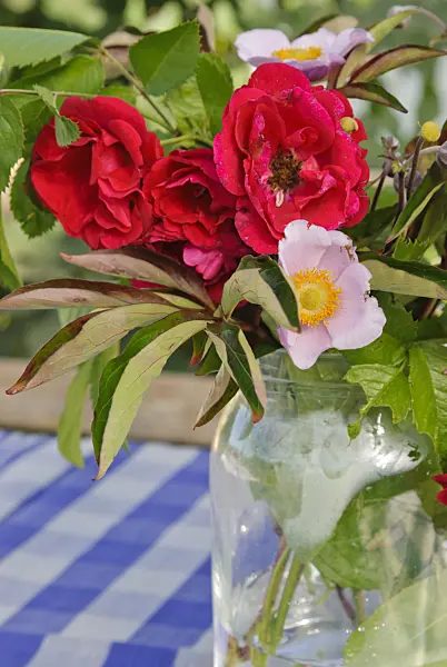 475053 - Bouquet de roses dans un bocal