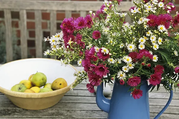 433221 - Bouquet of asters