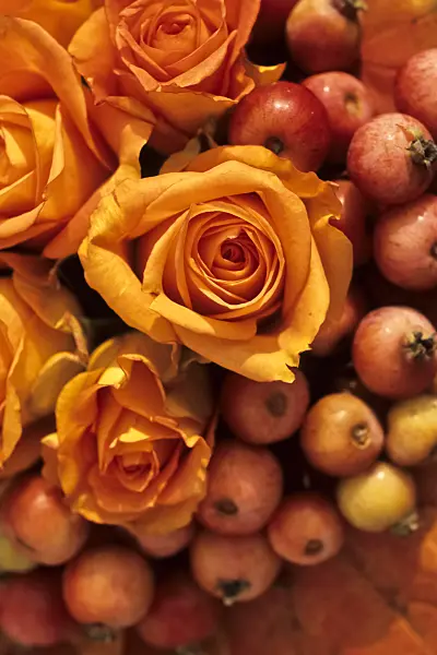 433224 - Bouquet of roses and crabs