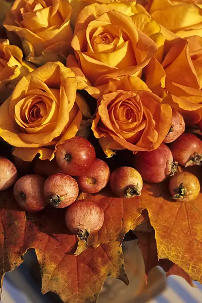 433225 - Bouquet of roses and crabs