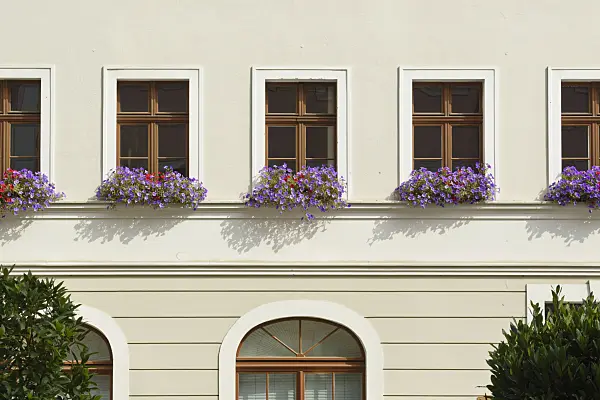559042 - Building at the market place, Görlitz, Germany