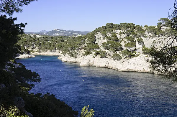 533199 - Calanque de Port-Pin, Calanques National Park, France