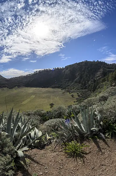 564177 - Caldera de Los Marteles, Gran Canaria, Spain