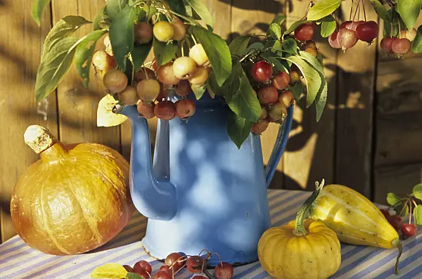 433220 - Can with Japanese crabs and gourds