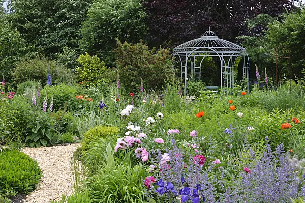 473079 - Catmints (Nepeta), irises (Iris), peonies (Paeonia) and oriental poppy (Papaver orientale) with garden pavilion