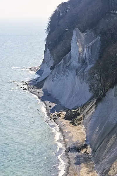 377041 - Chalk cliff, Jasmund National Park, Rügen, Germany