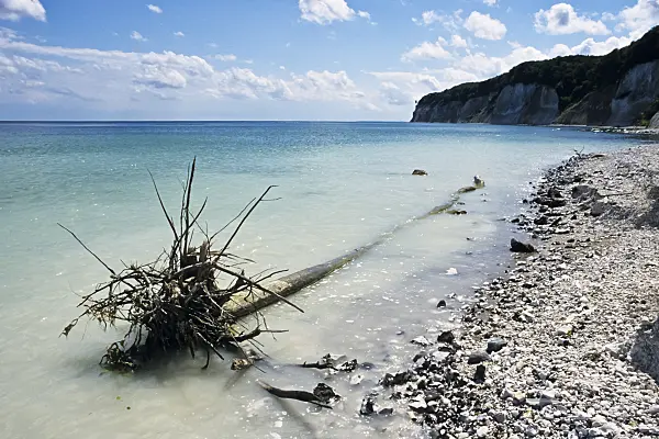 391078 - Chalk cliff, Jasmund National Park, Rügen, Germany