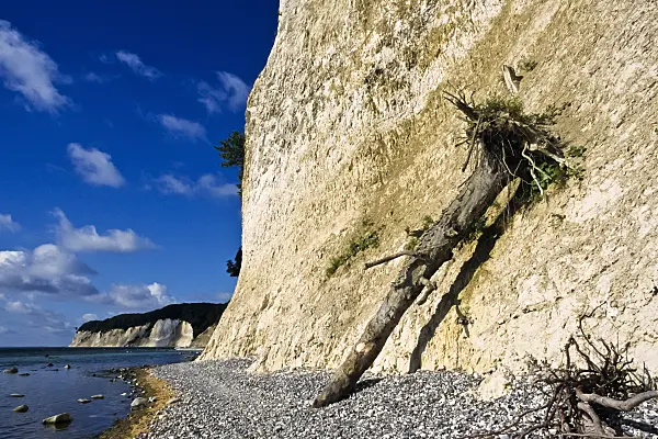 391098 - Chalk cliff, Jasmund National Park, Rügen, Germany